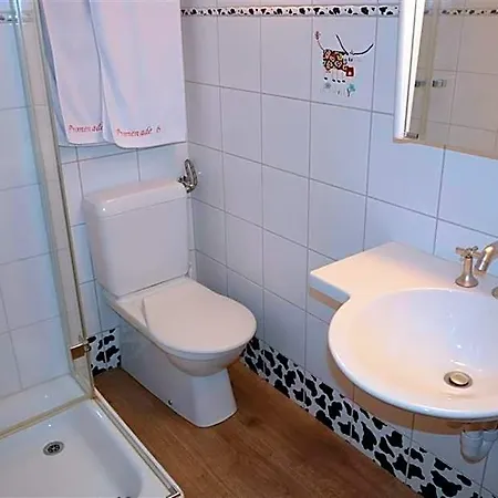 Apartment Le Vieux